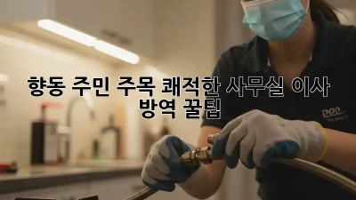 향동 주민 주목! 쾌적한 사무실 이사 방역 꿀팁 🔑