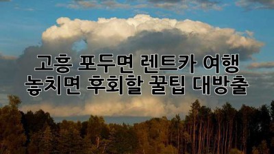 🚗💨 고흥 포두면 렌트카 여행, 놓치면 후회할 꿀팁 대방출! 🍯